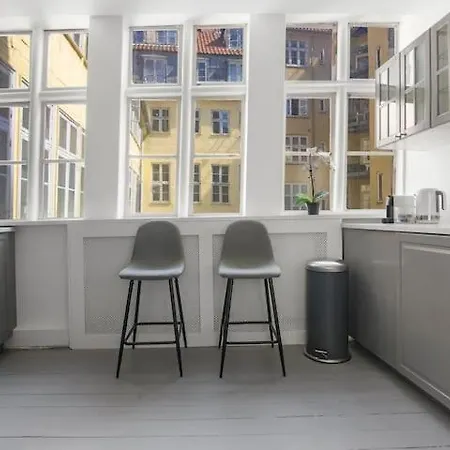 Luxury For 8 Persons In The City Center Copenhagen